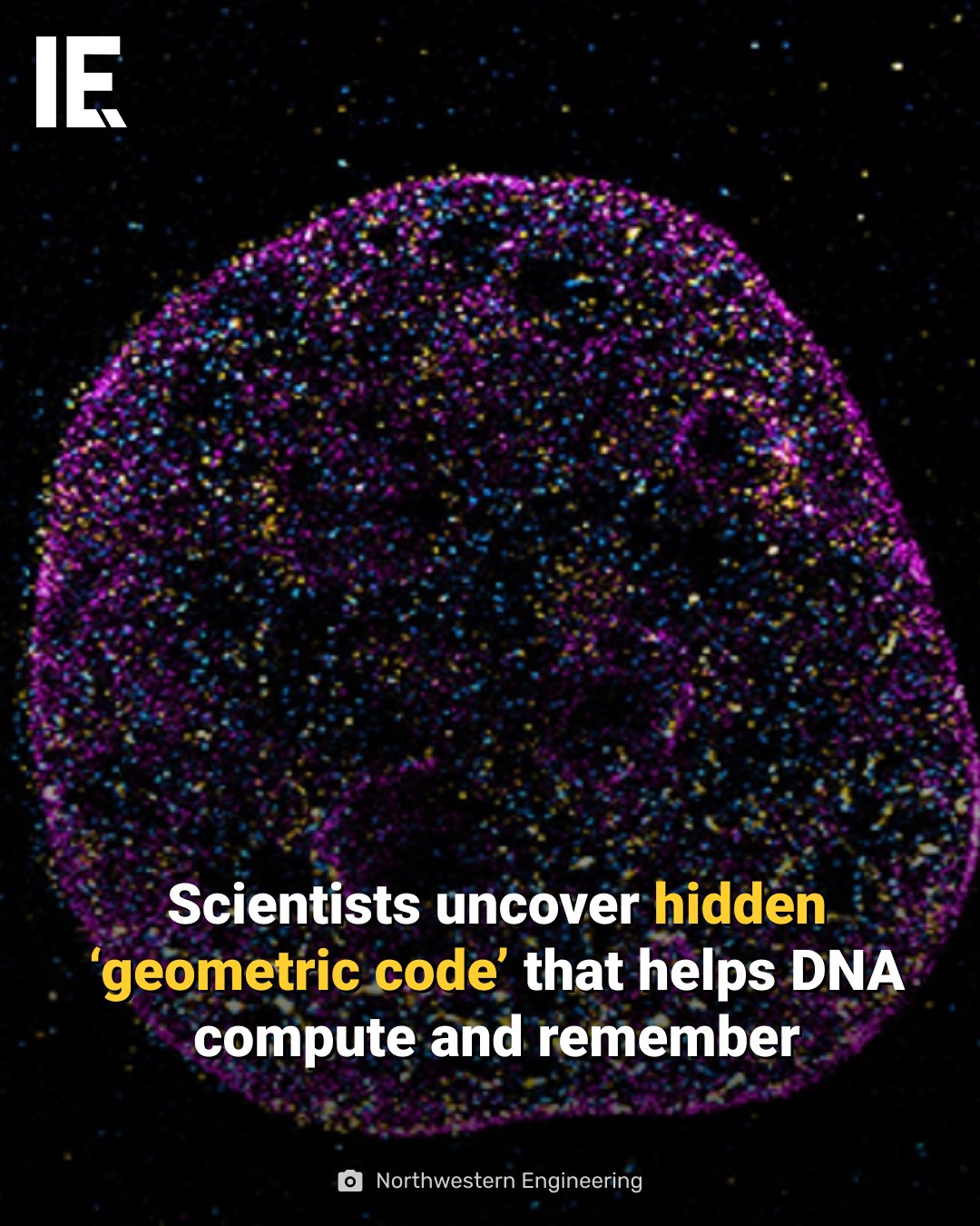Interesting - DNA doesn’t just spell life, it shapes it. Scientists ...