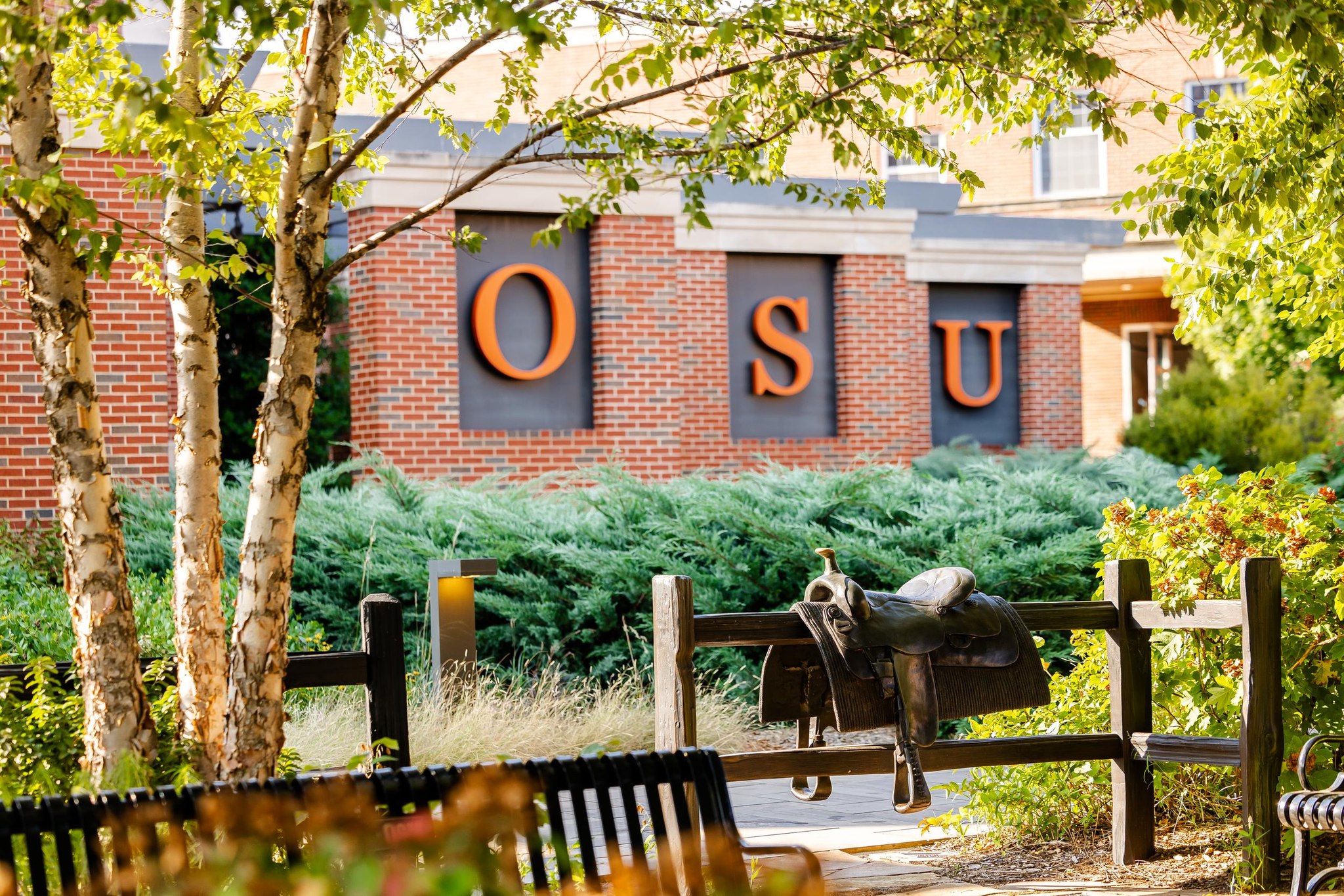 Be An OSU Cowboy added a new photo. - Be An OSU Cowboy