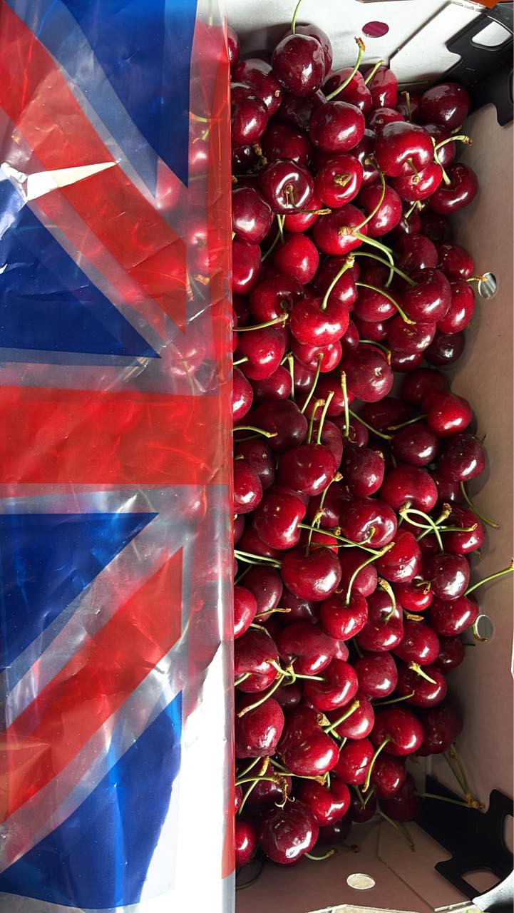 ❤️ New arrival 🇨🇦🍒Cherry Canada 🍒🇨🇦 Size Jumbo (8