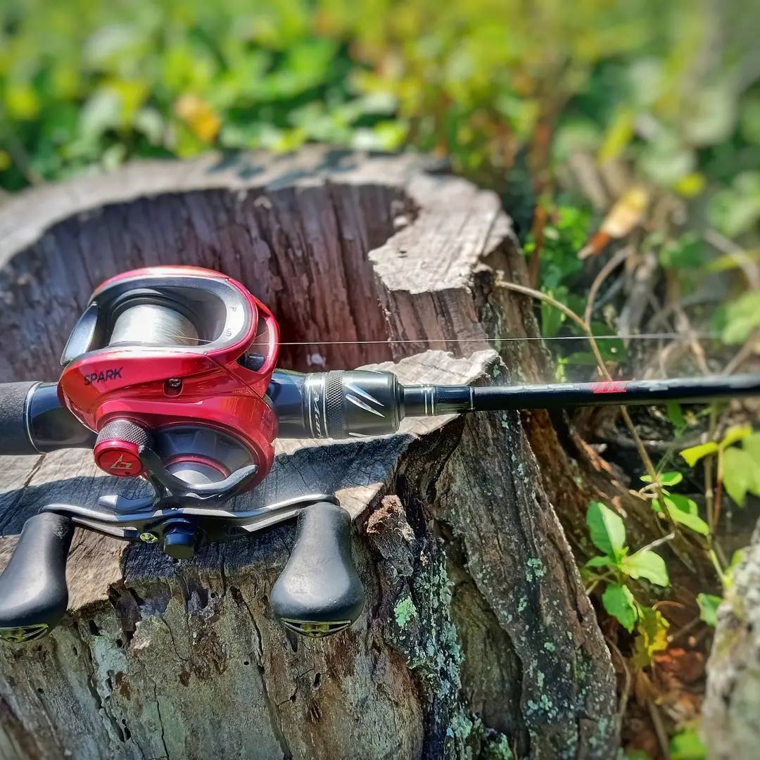 best baitcast reel for light baits Ultra Low Profile Baitcaster Black / Right Hand 9+1 bearings Top 8 Best Baitcasting Reels