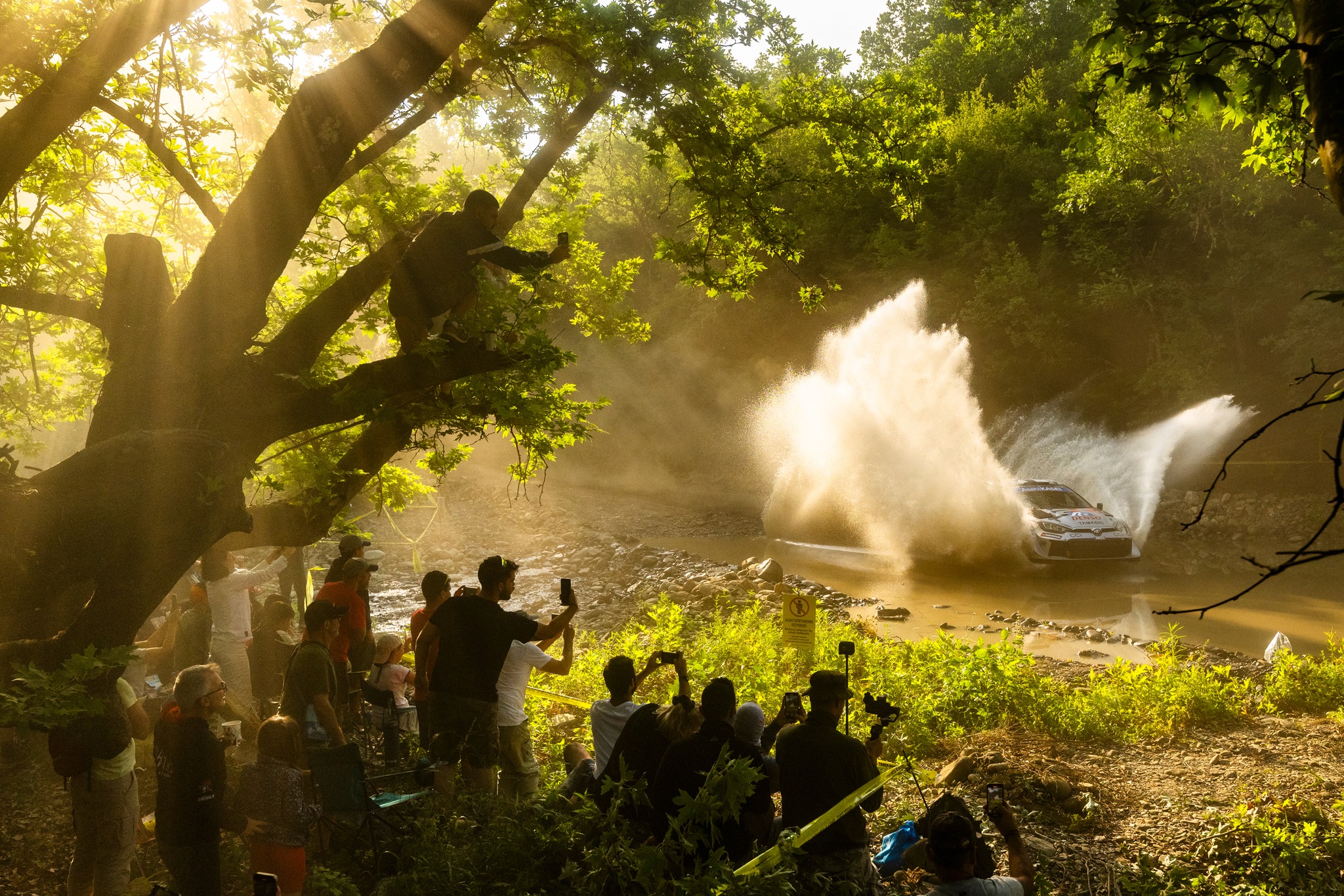 Jaanus Ree Photography - Hayden Paddon during the FIA World Rally ...