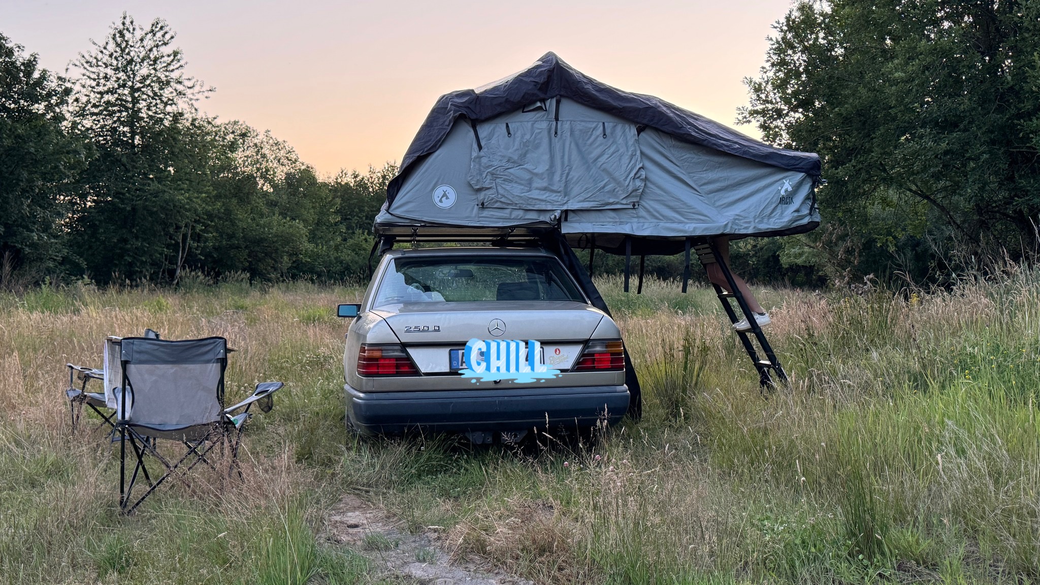 motorcycle tent Nomad 5 Field Green Camper Caddy yoy Screened doors on both Color:Violet/Fuchsia/Green