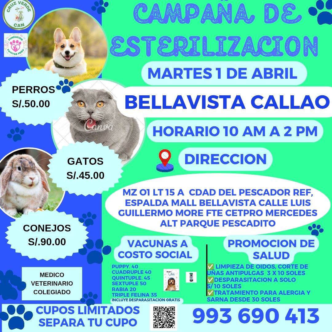 CRUZ VERDE CAN