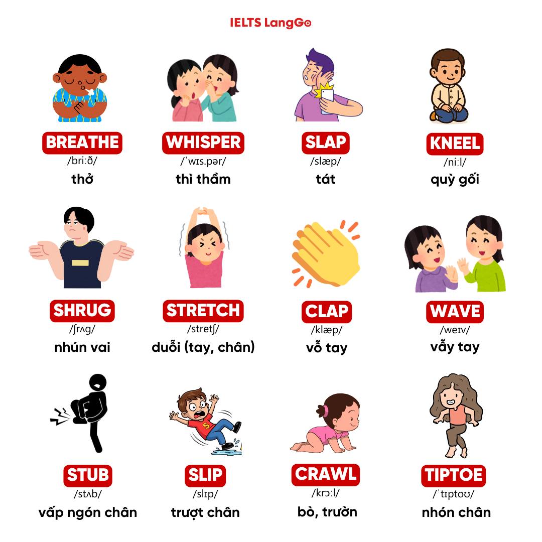 Luyện thi IELTS LangGo added a... - Luyện thi IELTS LangGo