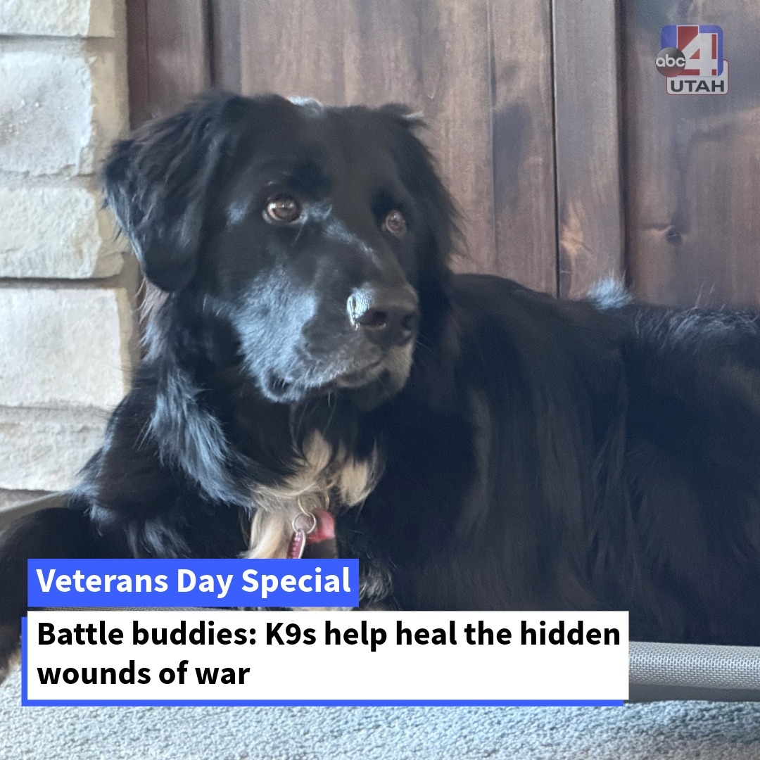 ABC4 - The wounds of war are not always visible. One nonprofit uses K9 ...