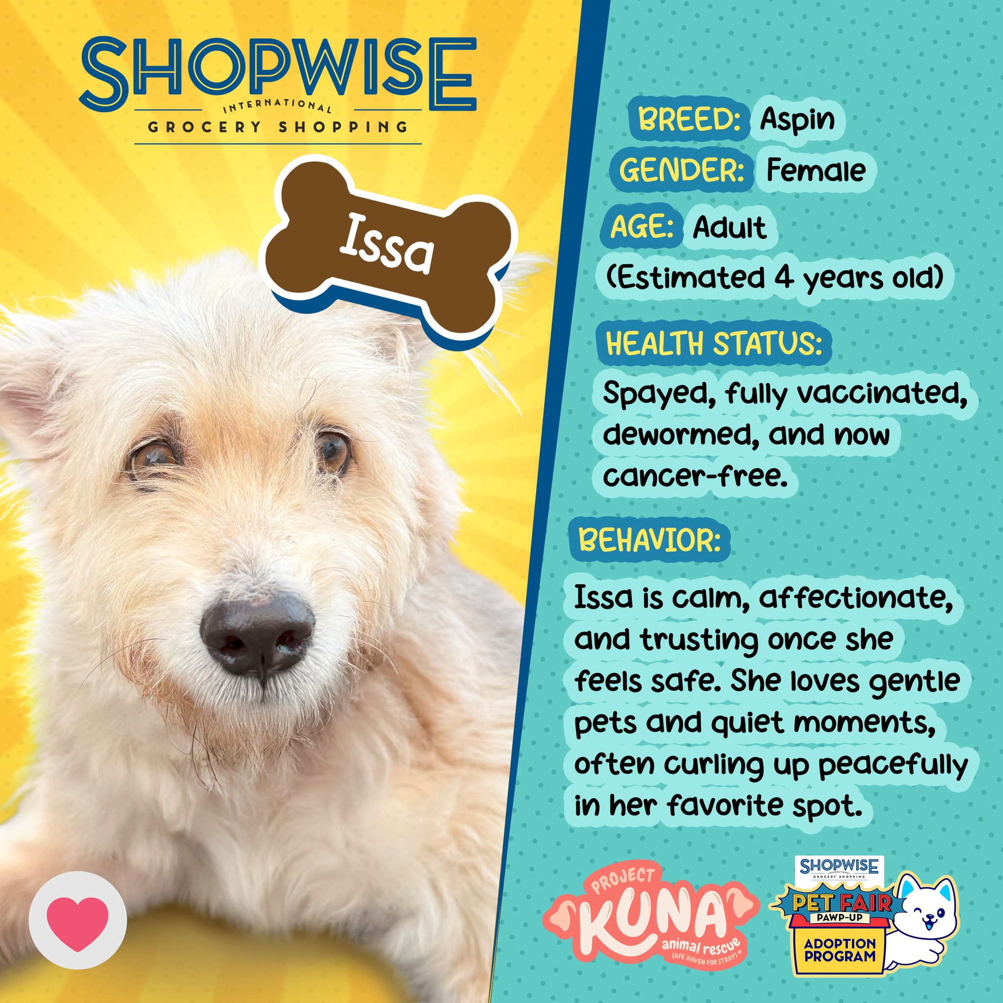 Shopwise - 🚨 PET ADOPTION ALERT! 🚨 From Neglected… to... | Facebook