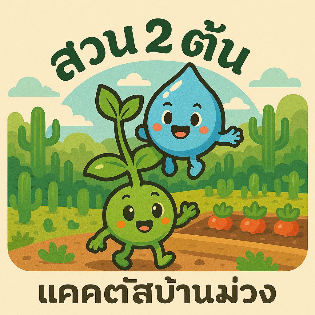 สวน 2 ต้น - แคคตัสบ้านม่วง... - สวน 2 ต้น - แคคตัสบ้านม่วง