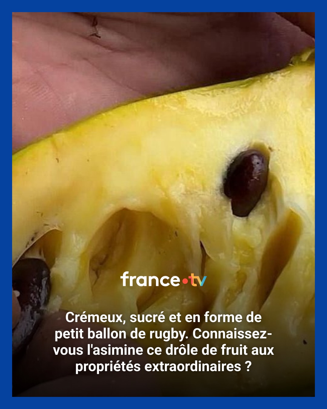Depuis cinq ans, Emmanuel... - France 3 Nouvelle-Aquitaine | Facebook