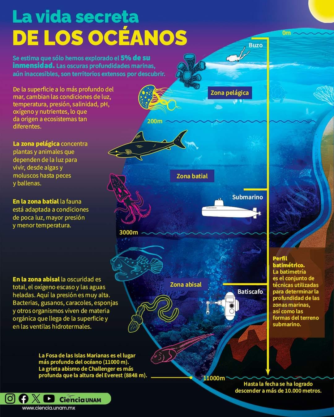 Ciencia UNAM - La vida secreta de los #océanos Nuestros... | Facebook