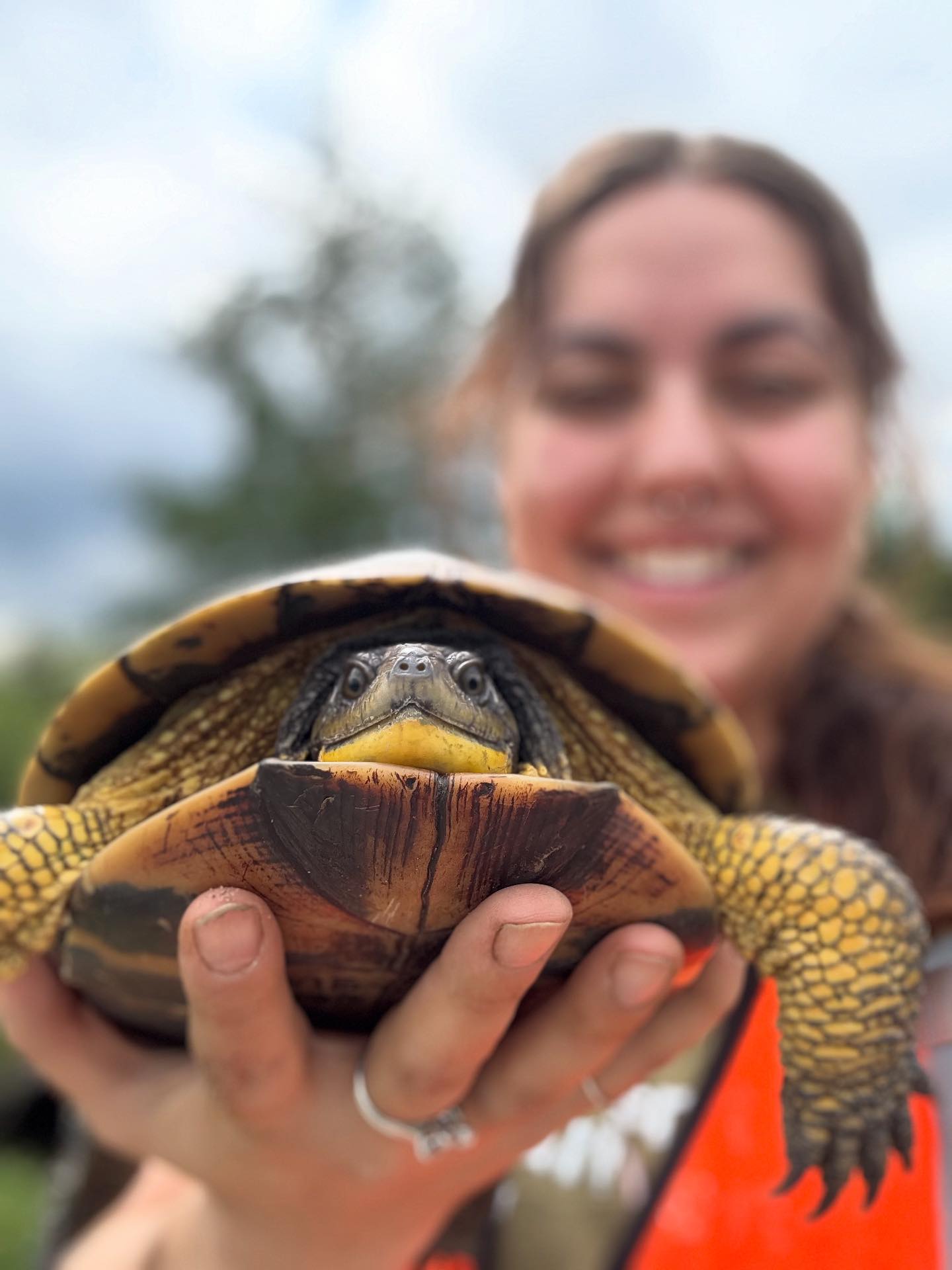 TurtleGuardians - Did You Know? Since 2016, Turtle... | Facebook