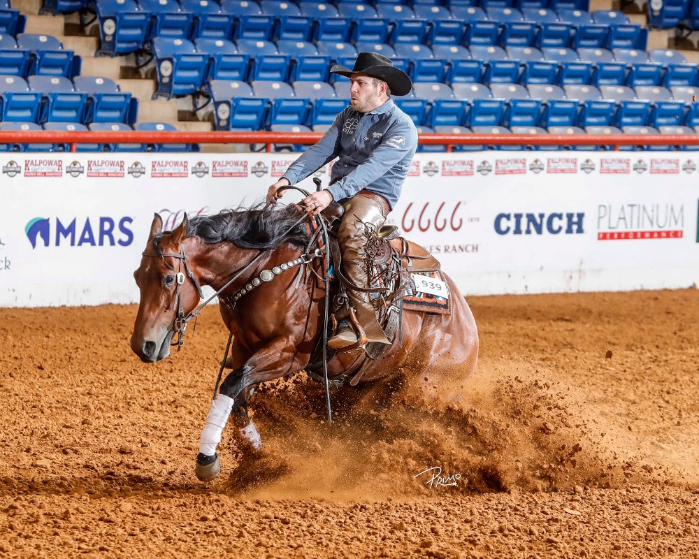 Ruckus Performance Equine | Springfield TN