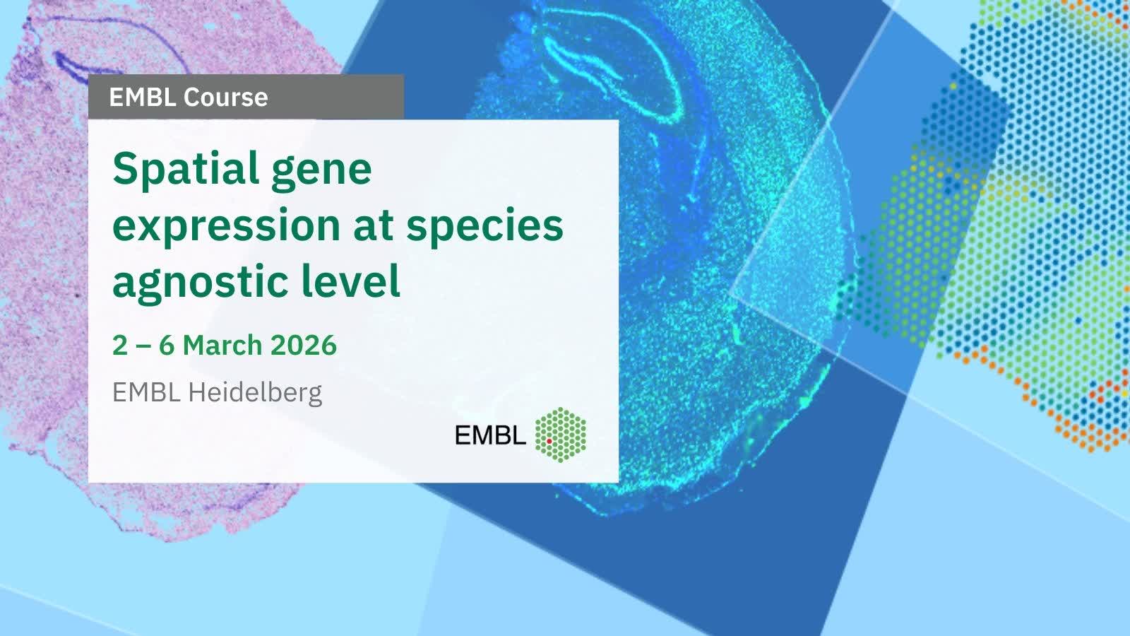 EMBL - 📣🧬 Don't miss the chance to be part of the EMBL Course 'Spatial ...