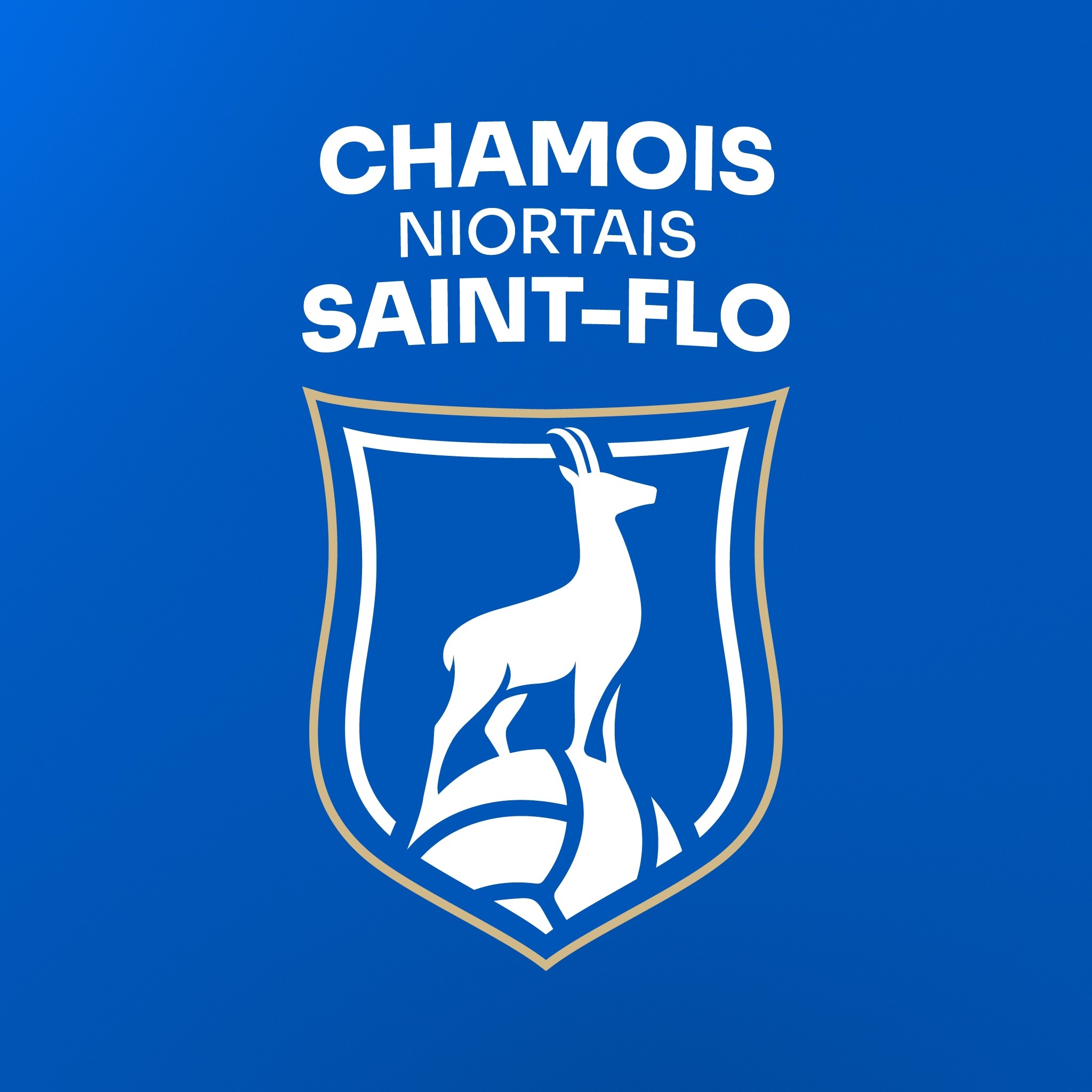 🔵 𝐑𝐞𝐜𝐫𝐮𝐞 #𝟐 - 𝐇𝐮𝐠𝐨 𝐌𝐢𝐜𝐡𝐞𝐥 𝐫𝐞𝐣𝐨𝐢𝐧𝐭... - Chamois Niortais FC | Facebook