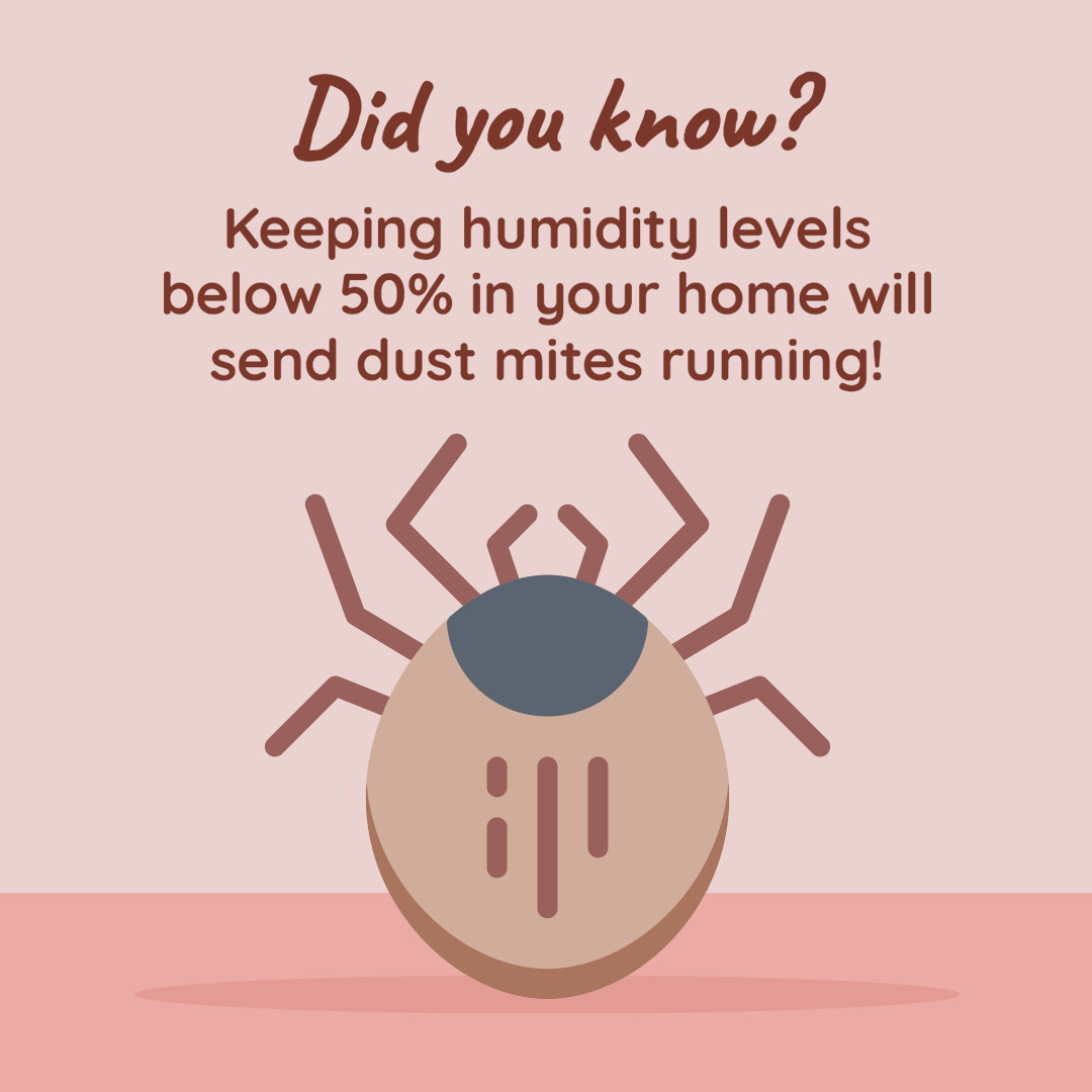 Glenn - Did you know? Dust mites thrive in humid environments! 🕷️💧 ...