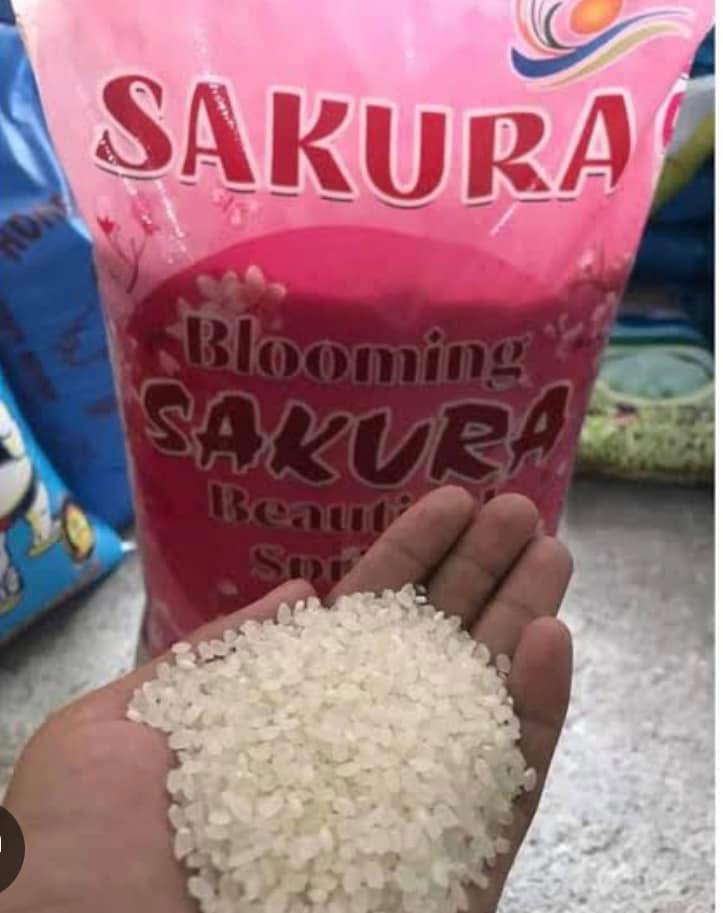 Sakura Japanese Rice ₱1220 ₱49 per kilo - Patrick Rice Center | Facebook