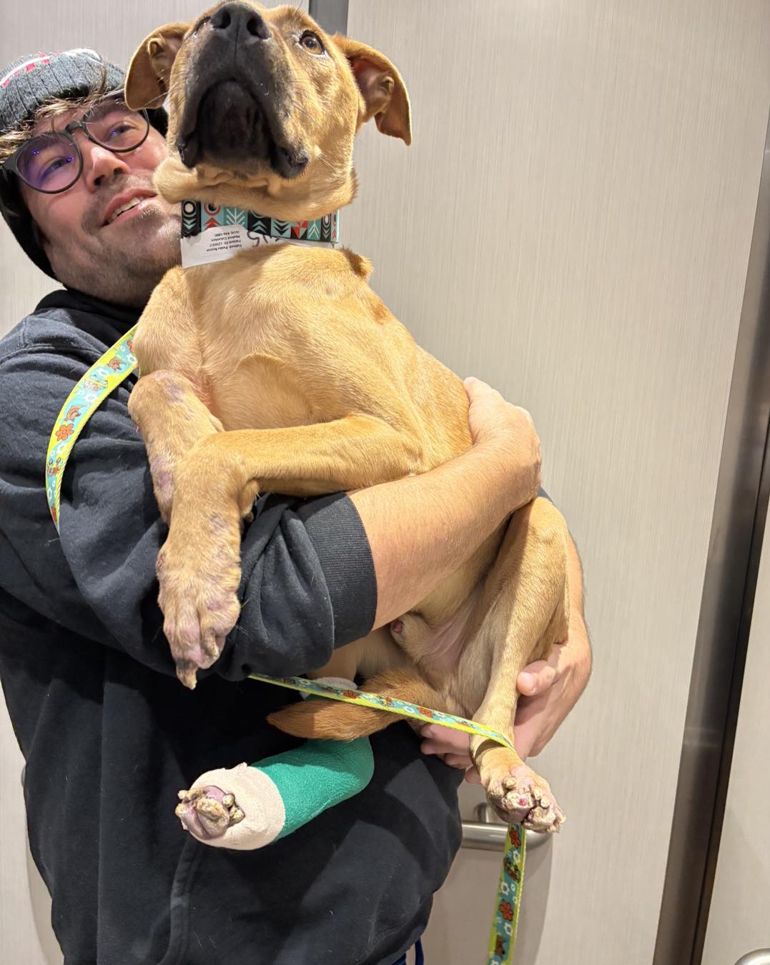 Pitiful Paws Rescue added a new photo. - Pitiful Paws Rescue