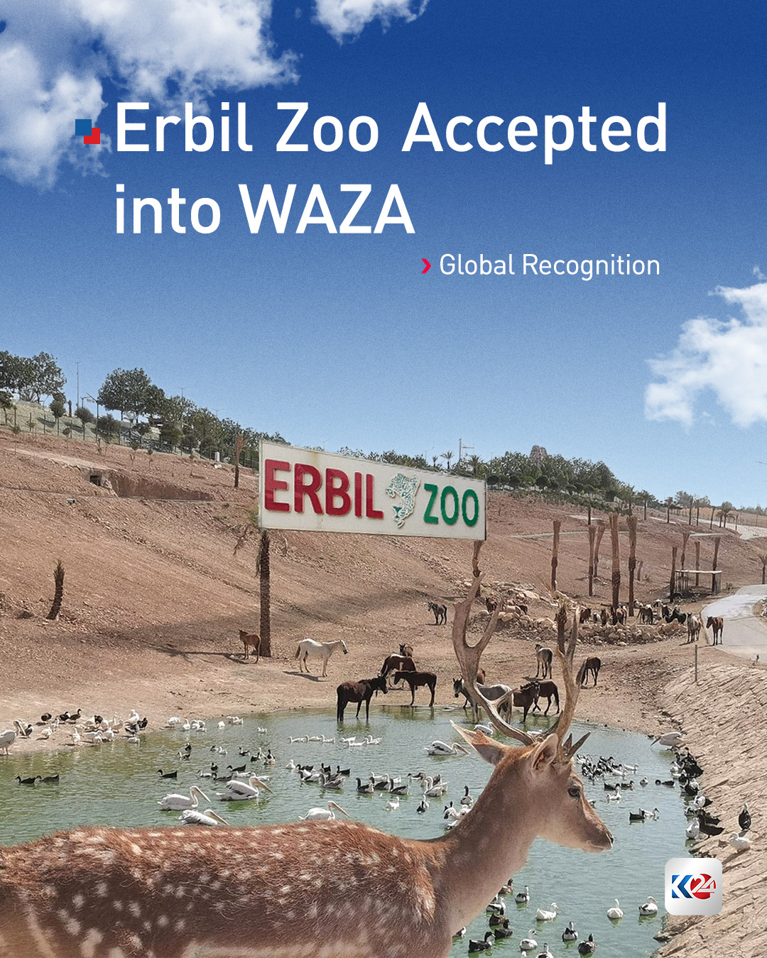 kurdistan24-erbil-zoo-has-become-the-first-in-iraq-to-gain-membership