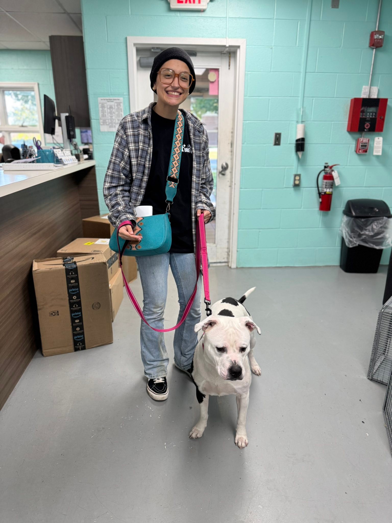 Cecil County Animal... - Cecil County Animal Services