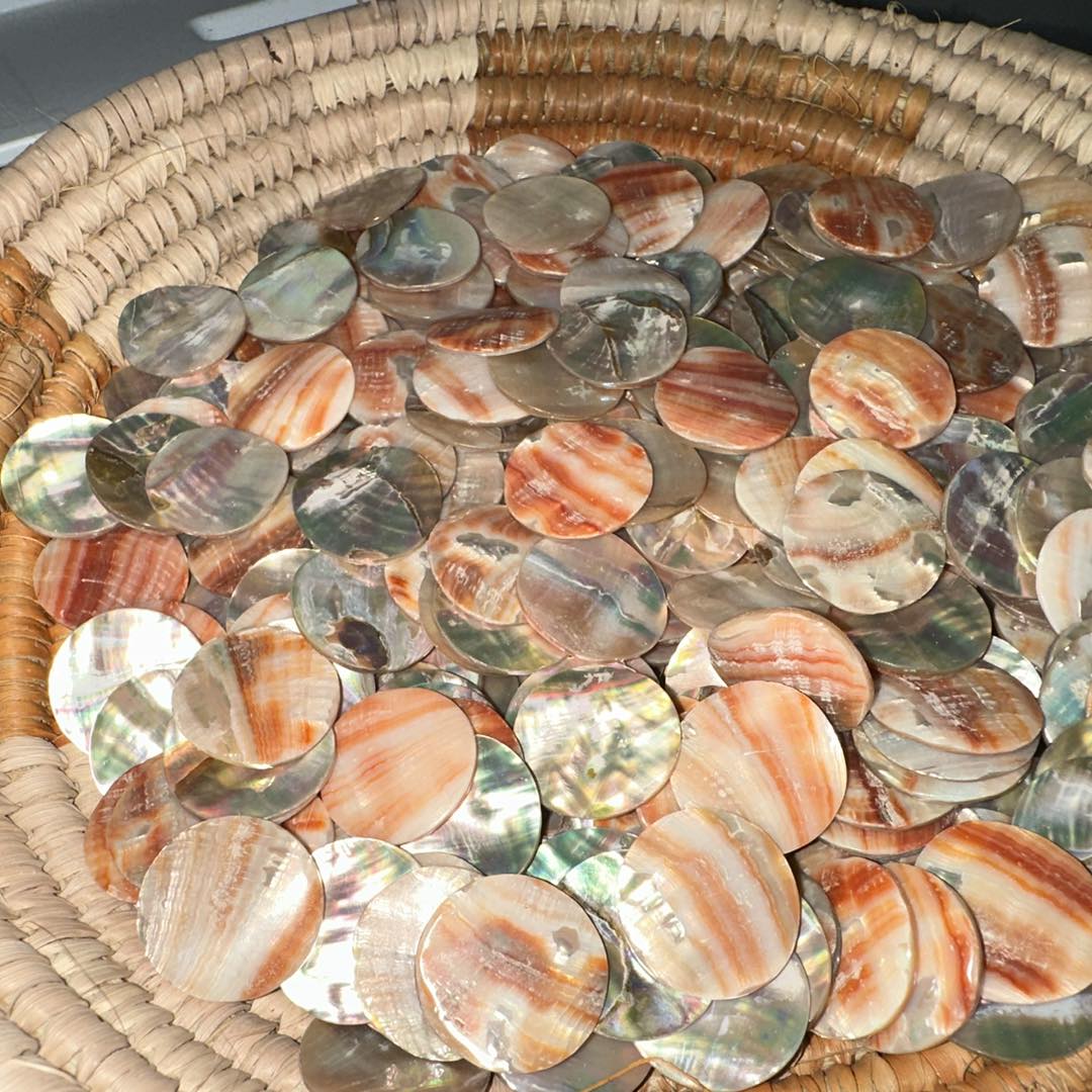 Pacific Rim Abalone Sea Shells | Florence OR