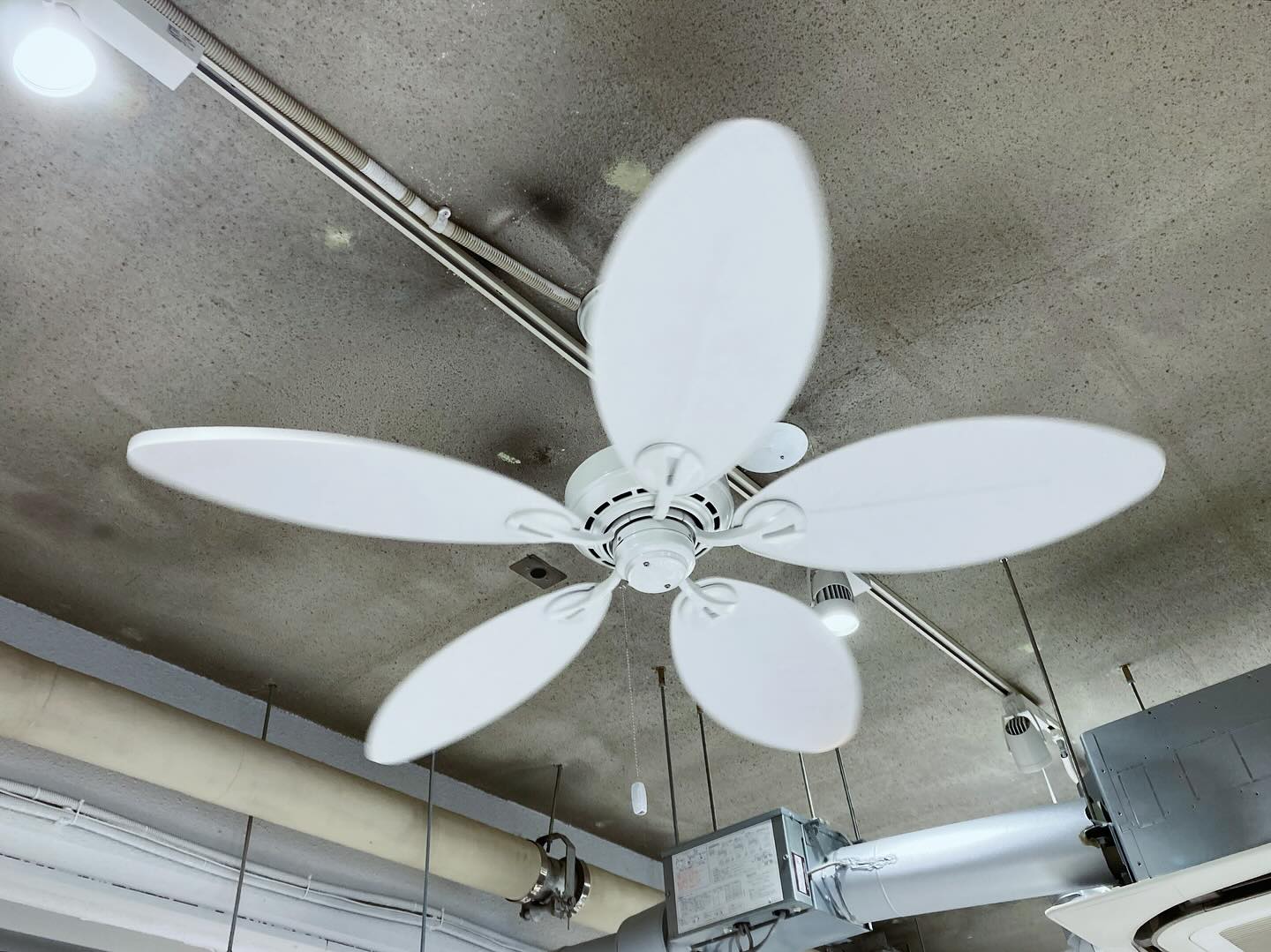 ハンター シーリングファン Hunter Ceiling Fan (@hunter.ceilingfan 