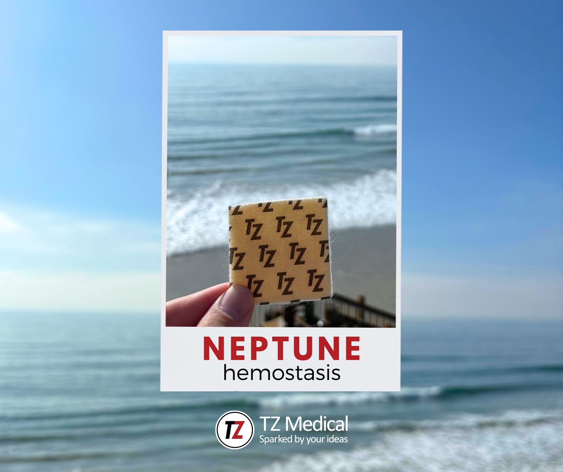 TZ Medical, Inc | Tulatin OR