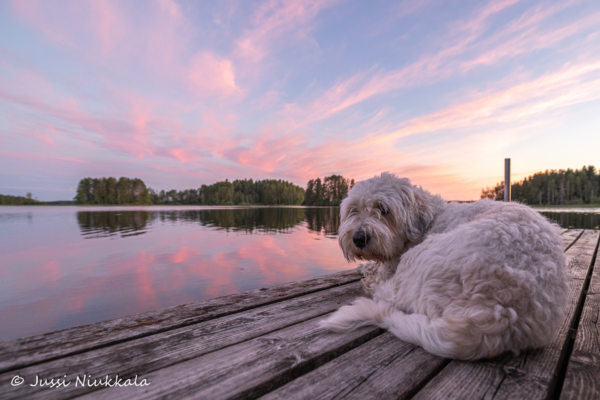 Jussi Niukkala - Sunset #sunset #Alajoki #Ilmajoki #Pohjanmaa #Suomi # ...