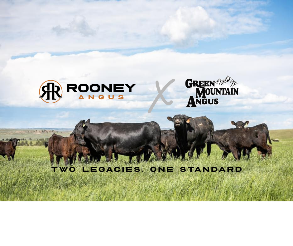 Green Mountain Angus Ranch | Billings MT