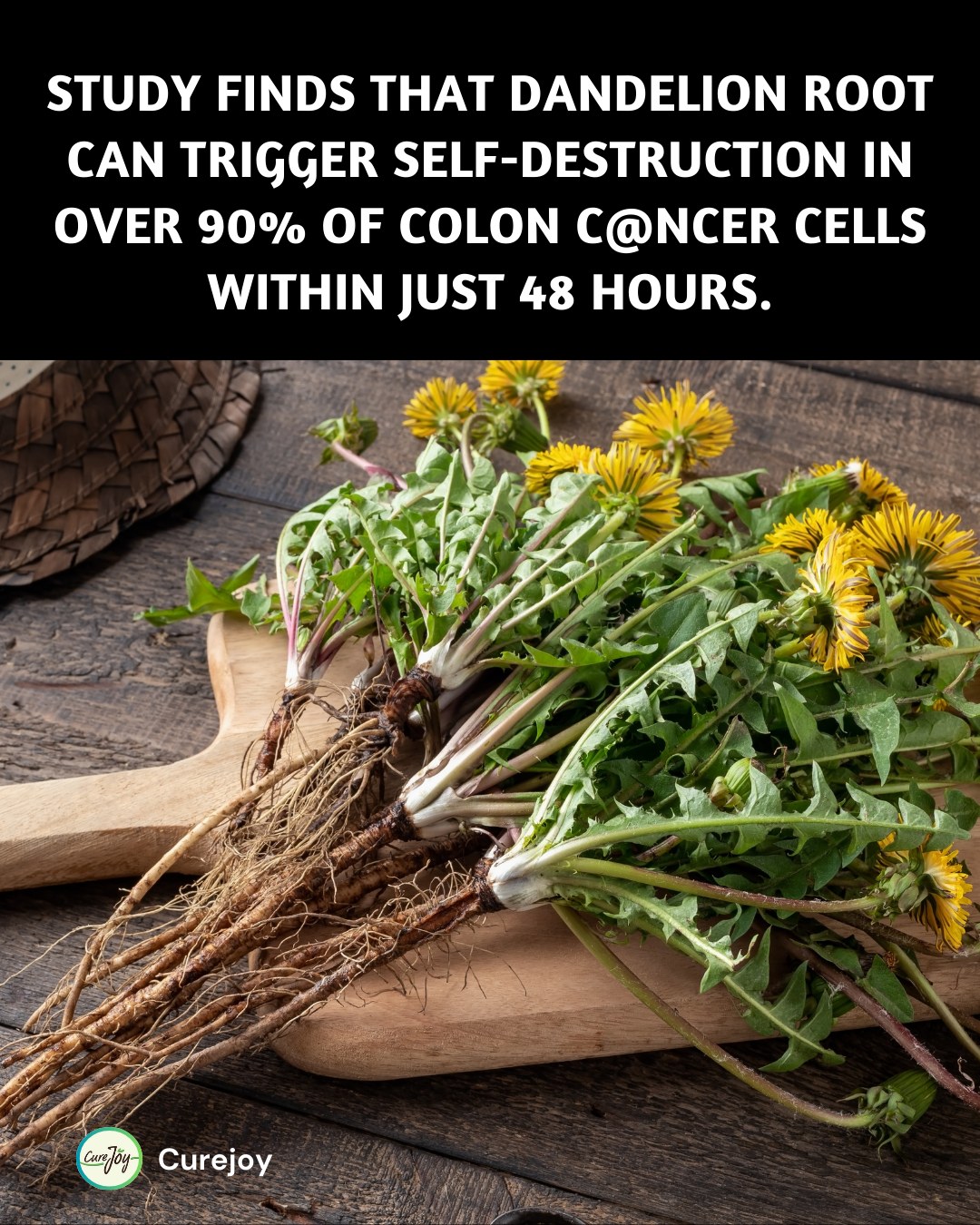 Curejoy - Dandelion root is more than just a common weed in your garden ...