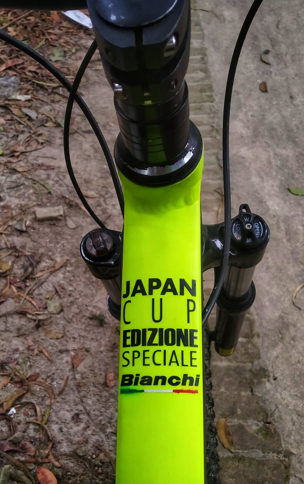 Custom mtb cockpit paint by Bikesmith