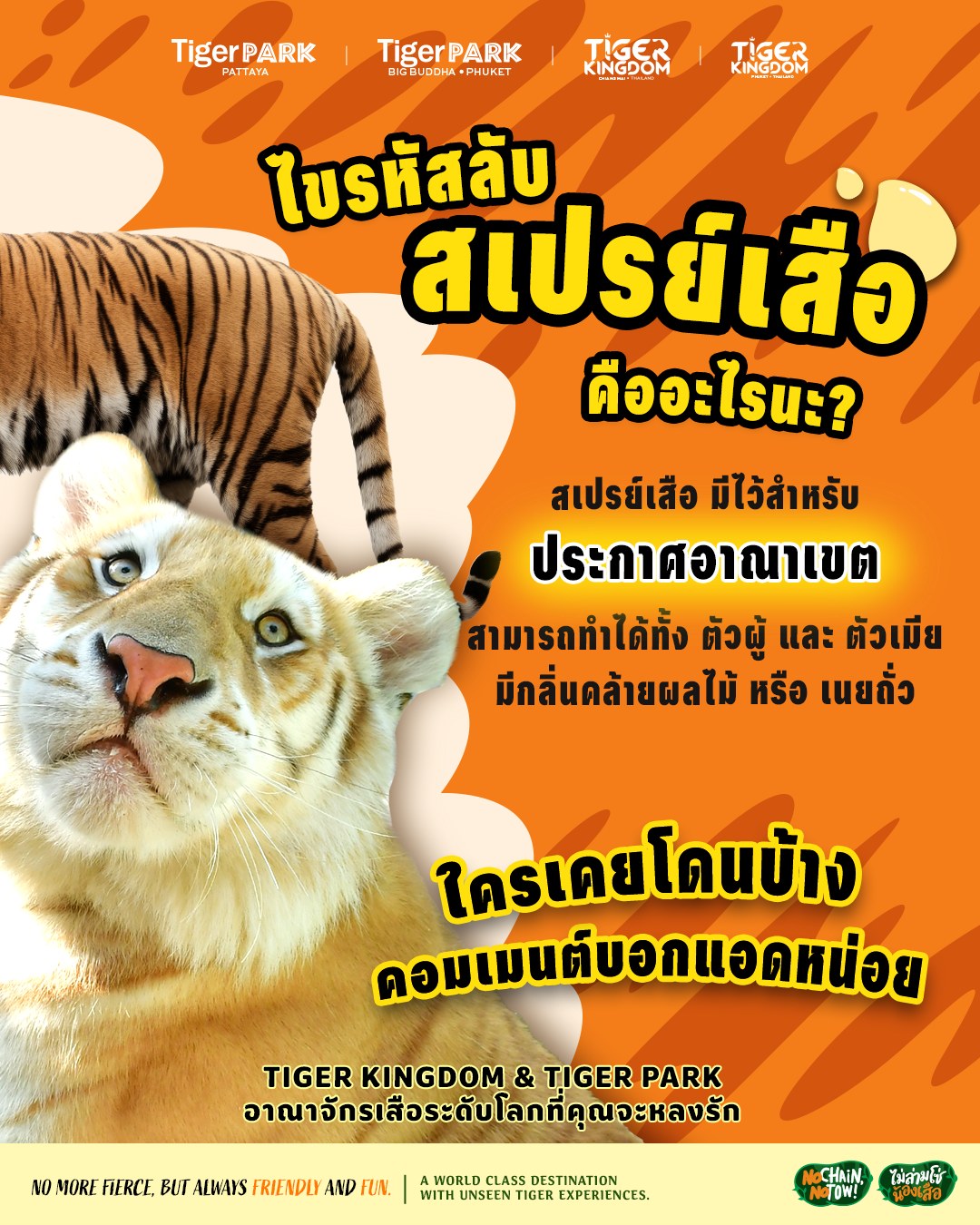 Tiger - หรือว่าบางทีที่น้องเสือสเปรย์ใส่เรา อาจจะแปลว่าอยากได้เราเป็น ...