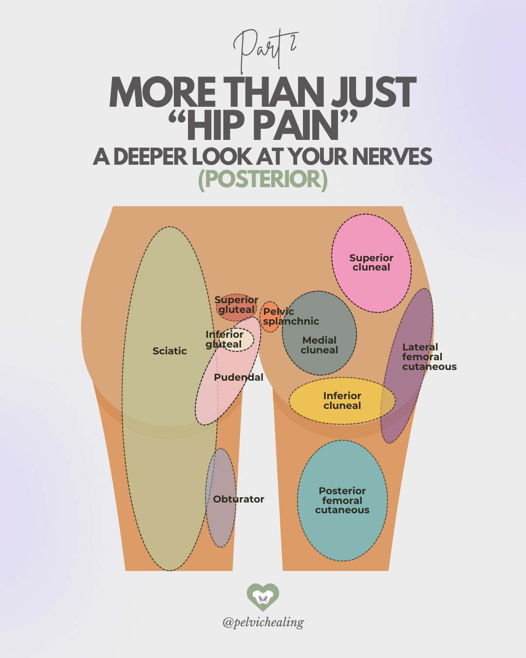 Continuing on the theme of posterior hip pain, lets dive into the ...