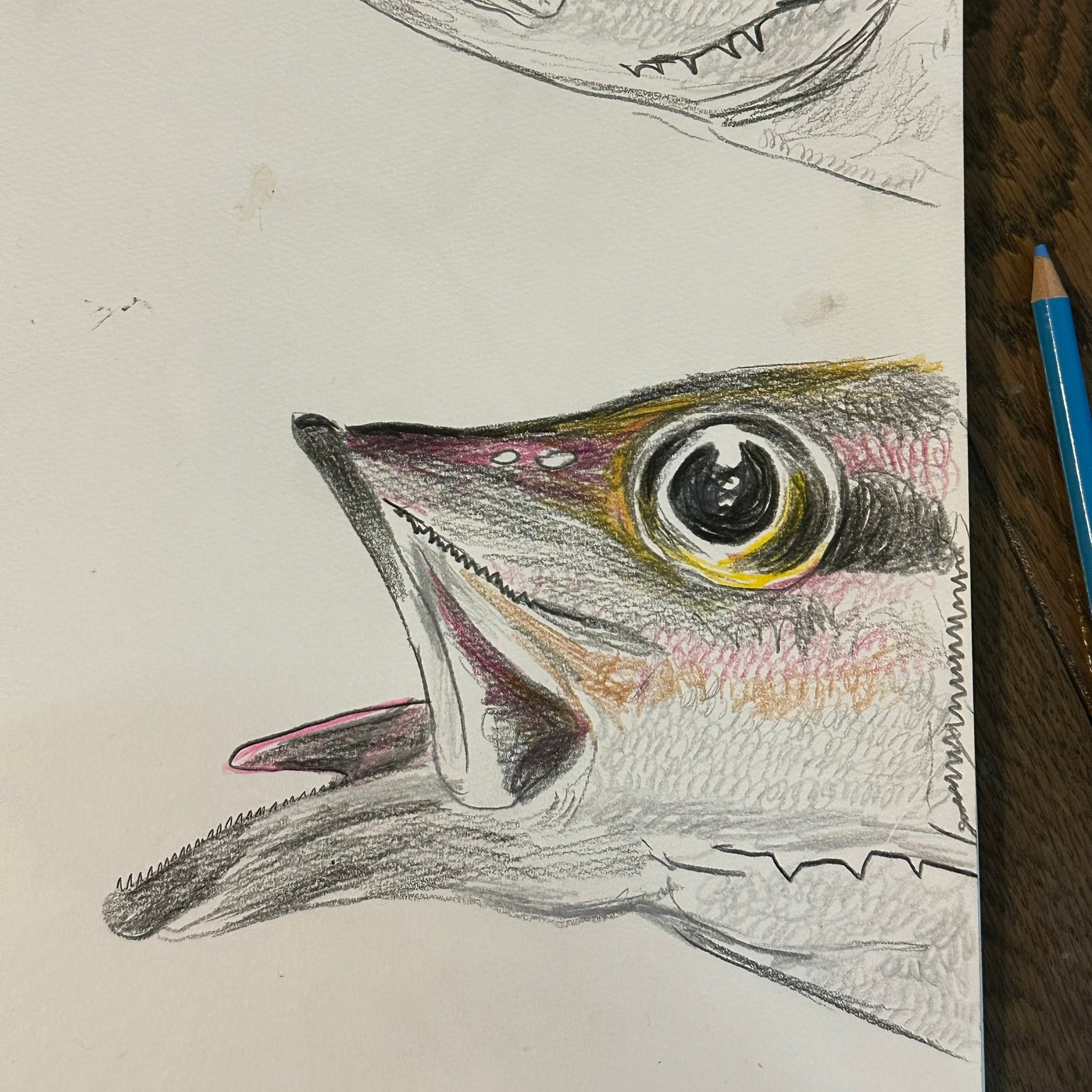 おはようギョざいます 久々に、完徹でお魚を描いてました