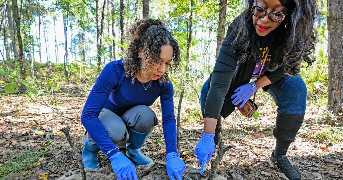 NOLA.com - Among bones and maggots, LSU researchers are building a ...