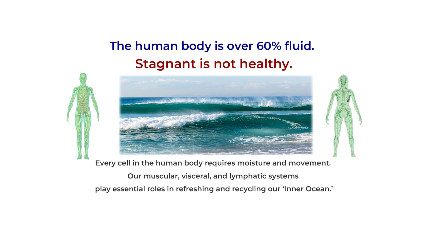 The Berry Method of Manual Lymphatic Drainage
