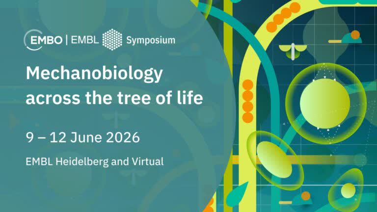 EMBL - 📣🌳 We're happy to share that the EMBO | EMBL Symposium ...