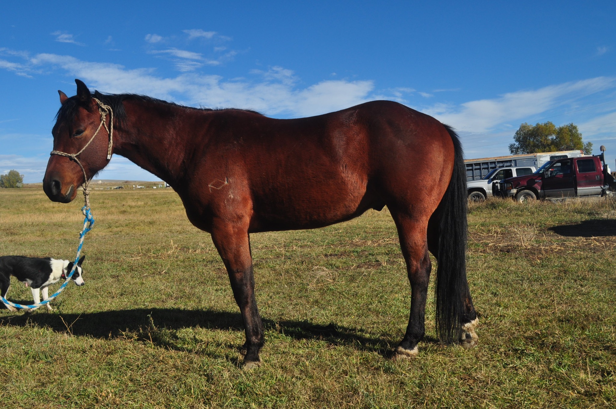 Double D Ranch Wyoming added a... - Double D Ranch Wyoming
