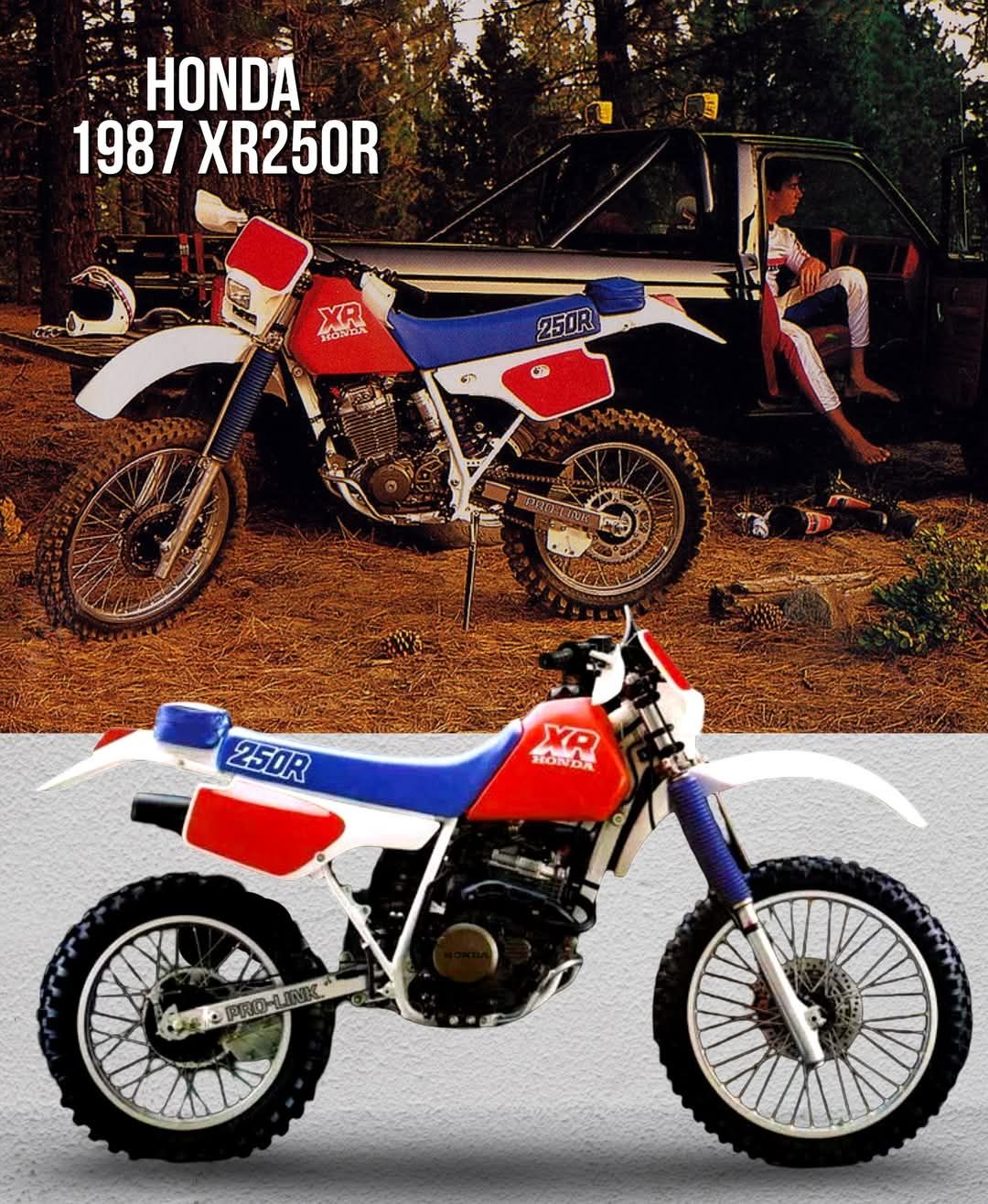 1981 Honda XR-200R . . daily updates on motocross and the history
