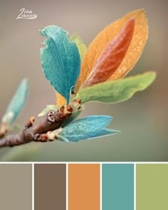 Kathy's - Here is your Nature Color Inspiration photo of the day! These ...
