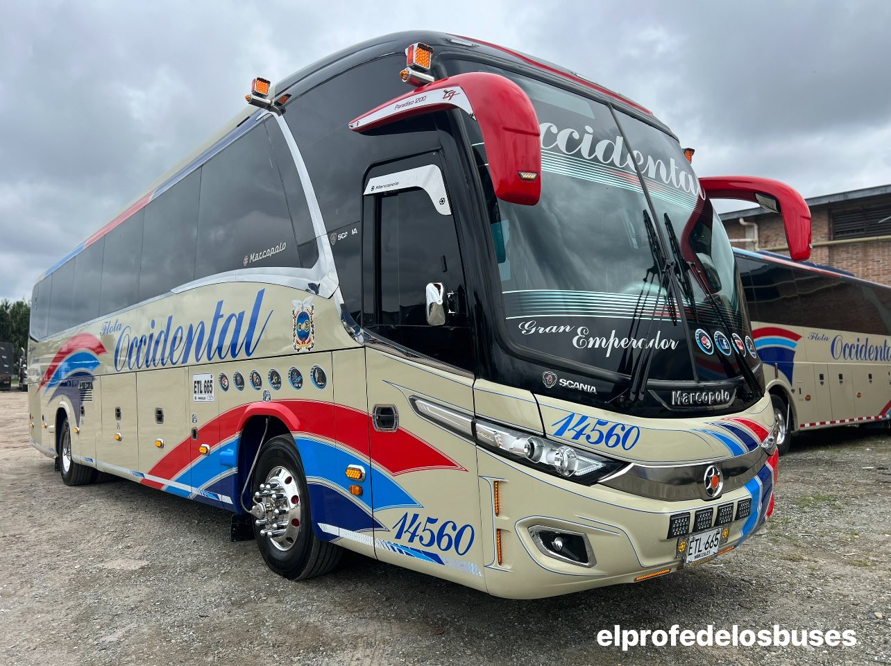 El Profe de los Buses - Cootransmagdalena Mercedes Benz Sprinter # ...