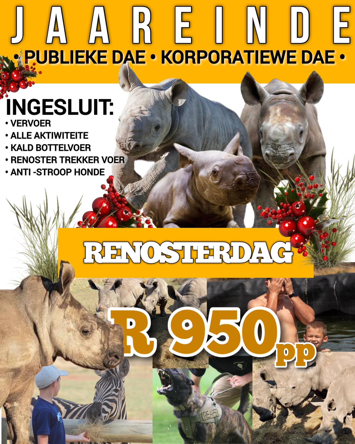 WegBreekSA - Reis en Verblyf | 🦏 Toerbroers jaareinde - Kers ...