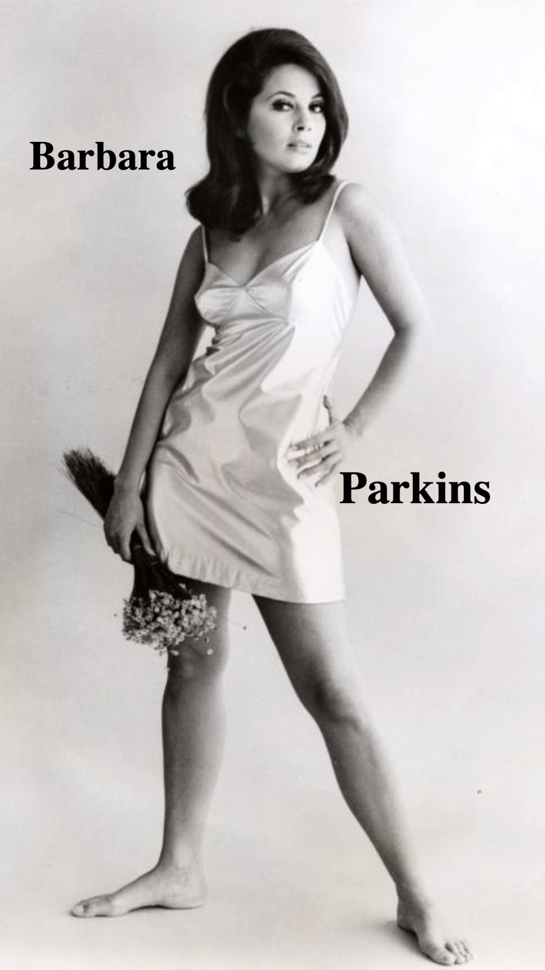 A classic 1964 photo of Barbara during her time with Columbia