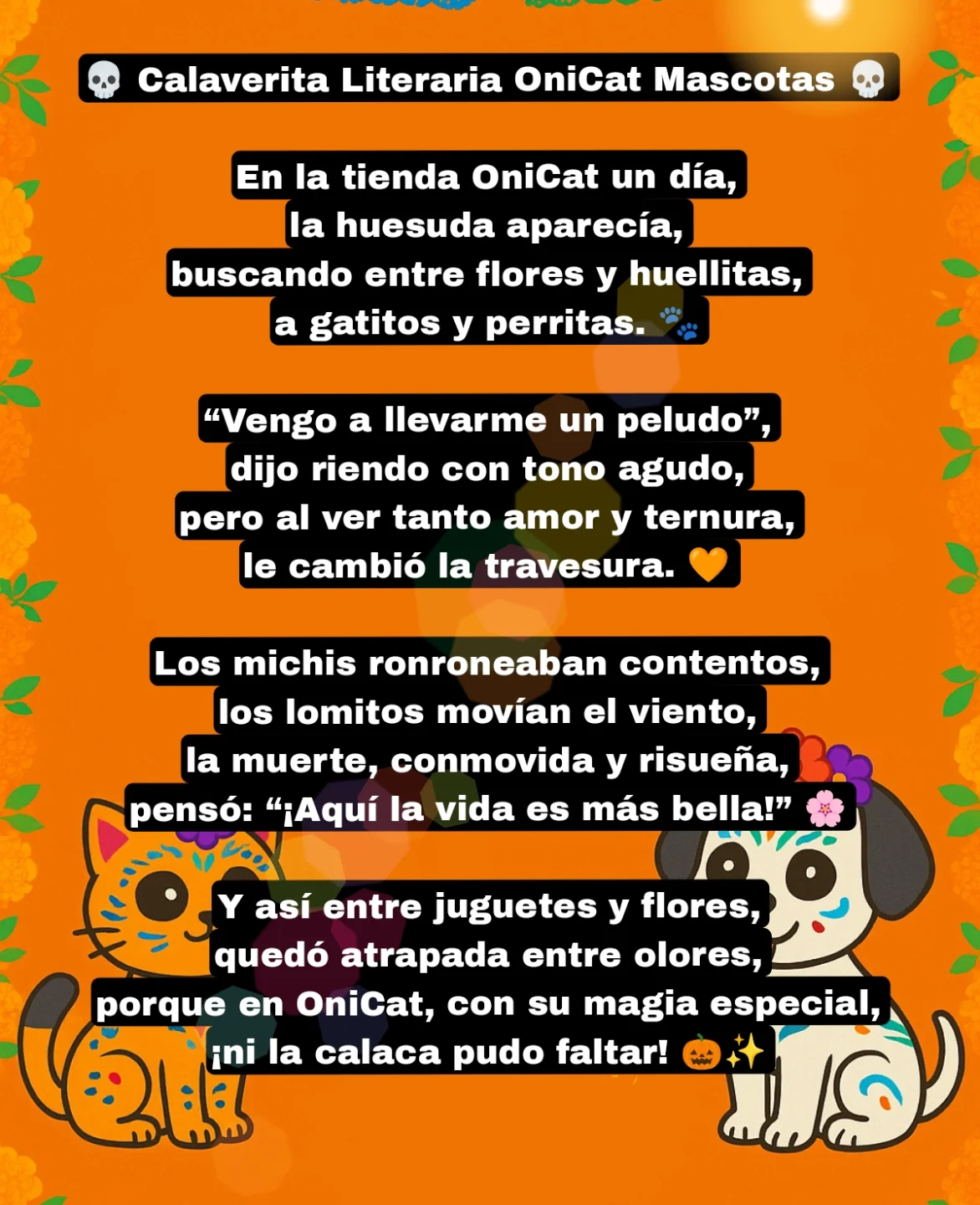 OniCat Mascotas