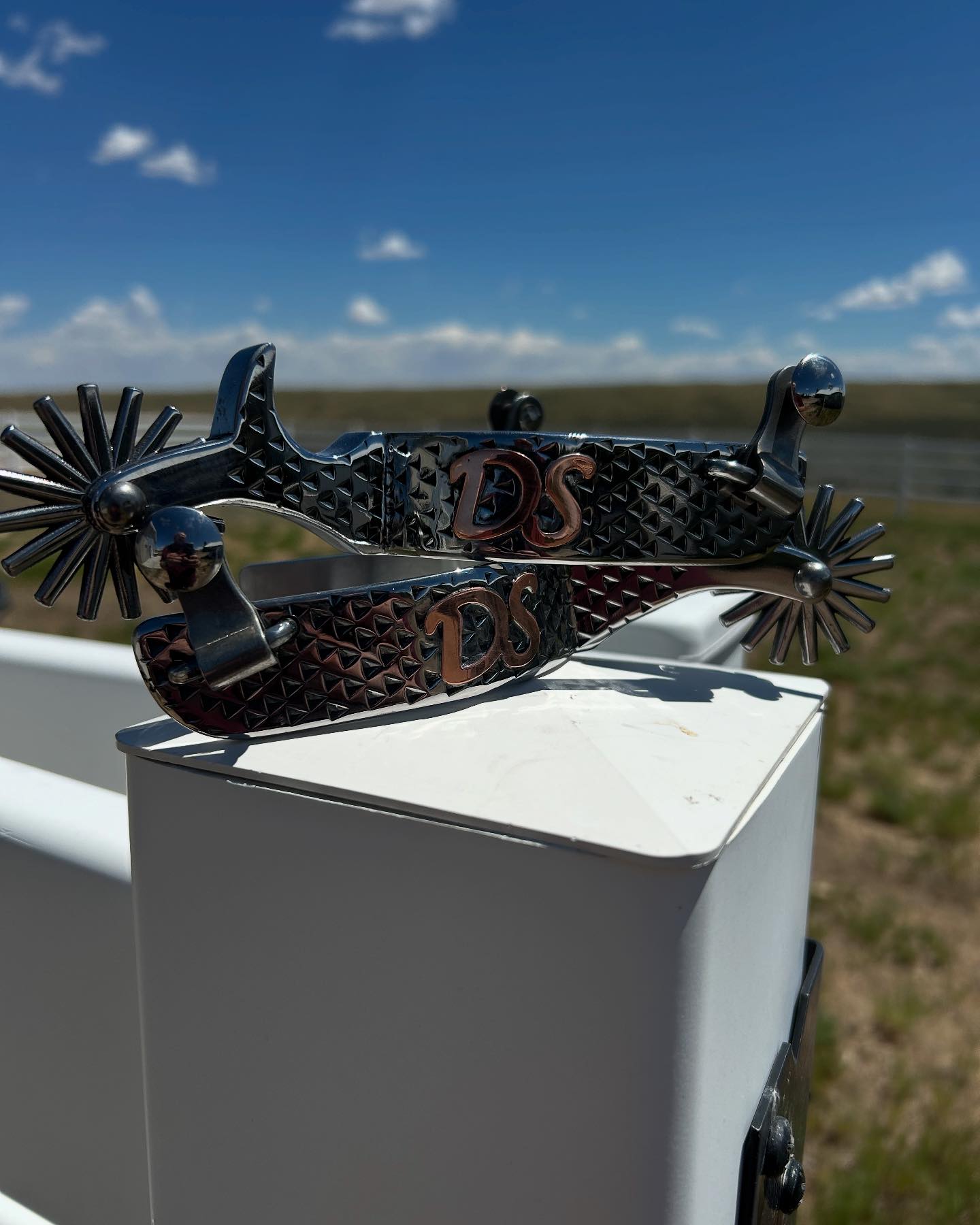 Rasp spurs bits and buckles | West Jordan UT