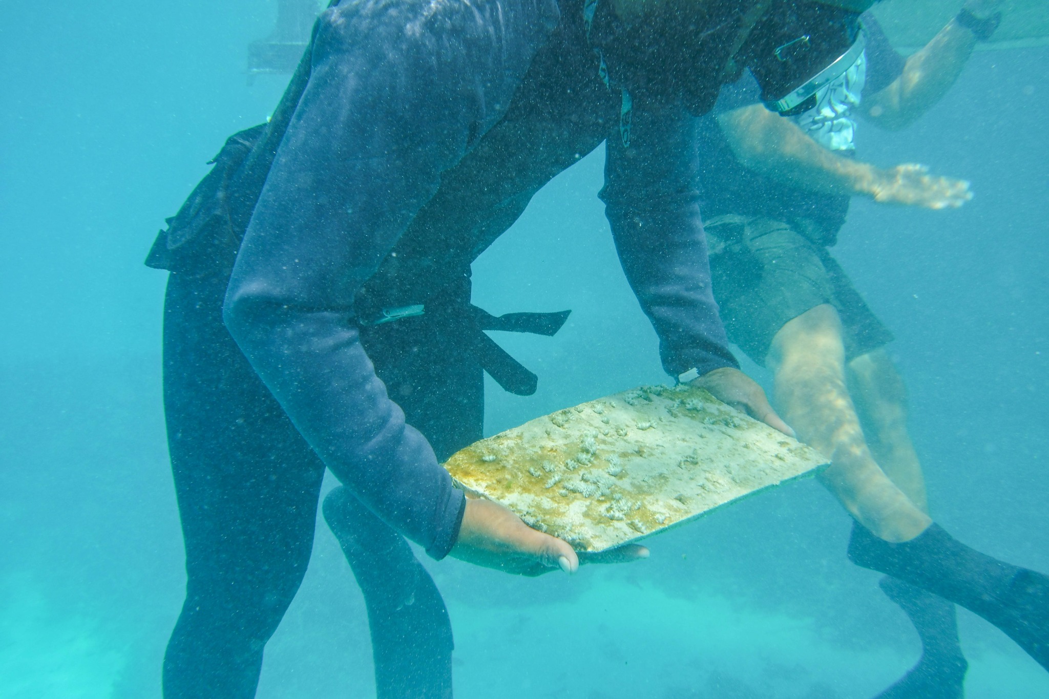 Tuvalu Fisheries Authority... - Tuvalu Fisheries Authority
