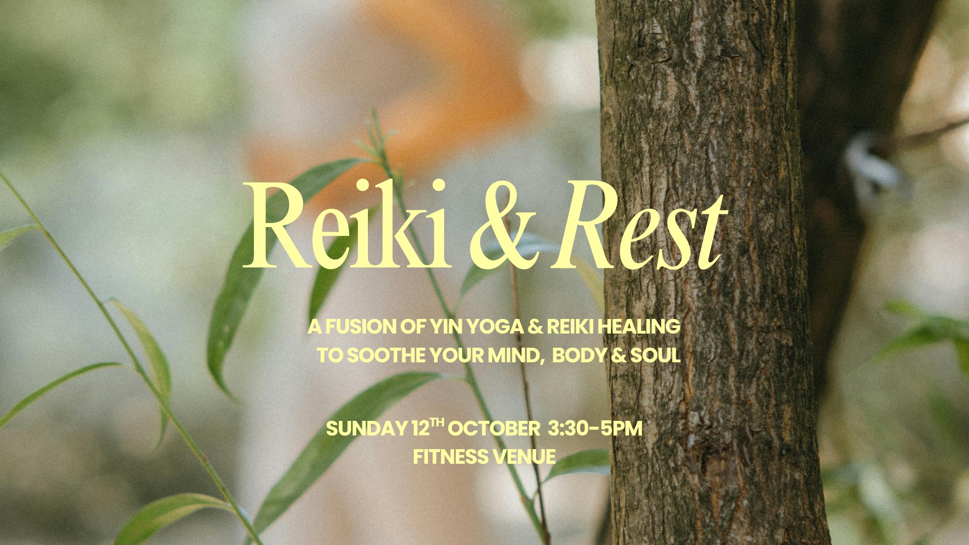 Reiki & Rest - Yin Yoga & Reiki Healing