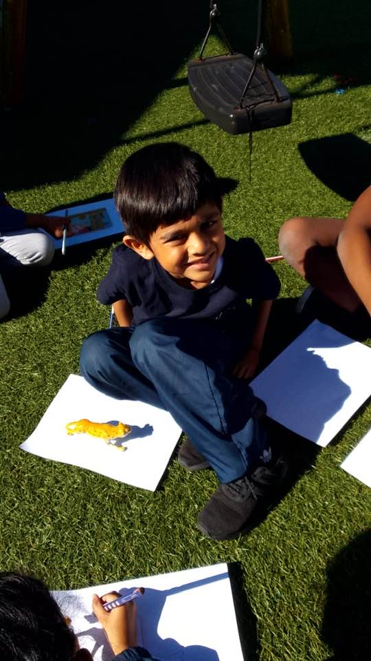 🌞 Shadows at play! Our Grade R... - Curro Heritage House