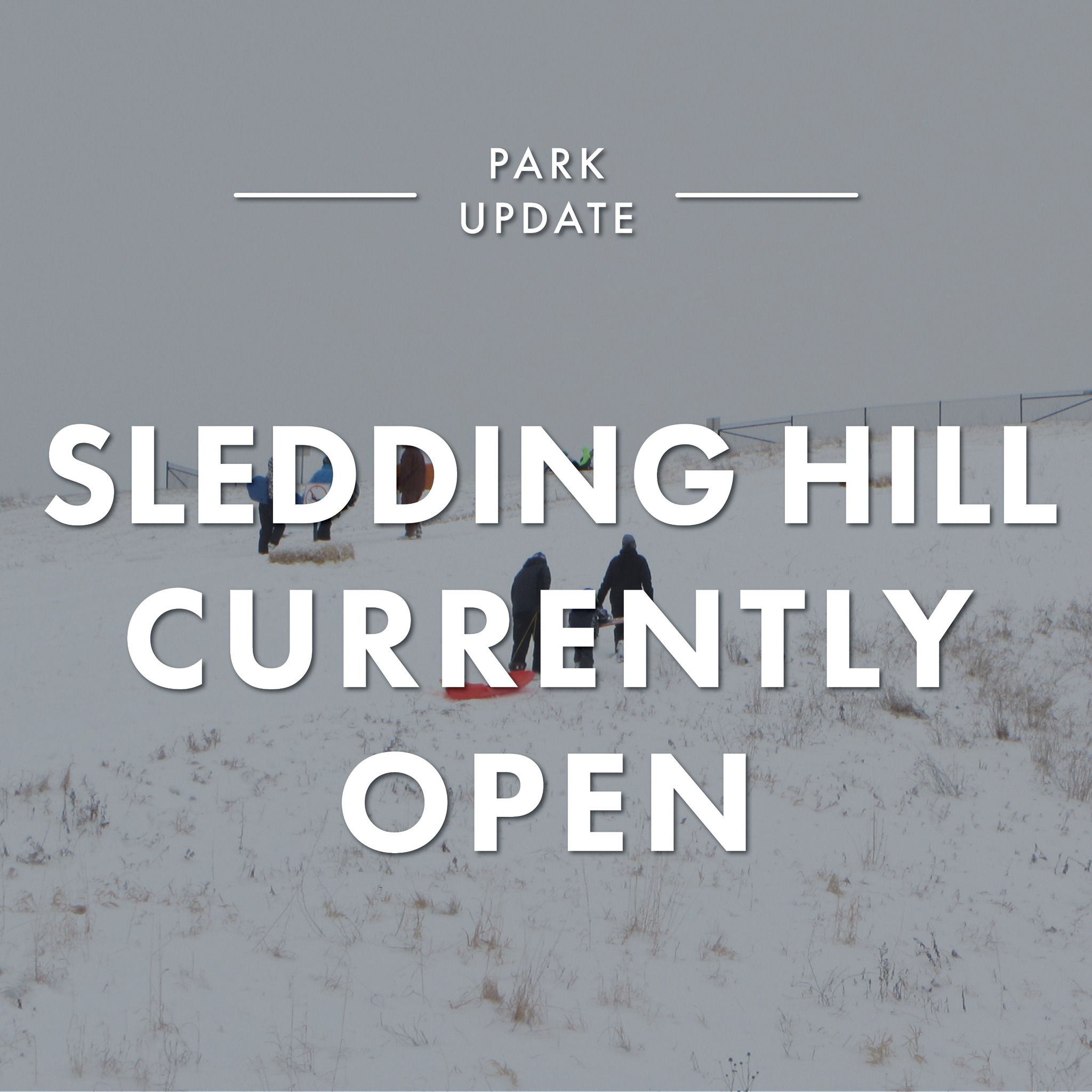Carver - 🛷The Sledding Hill at Lake Waconia Regional Park is OPEN! ️ ...
