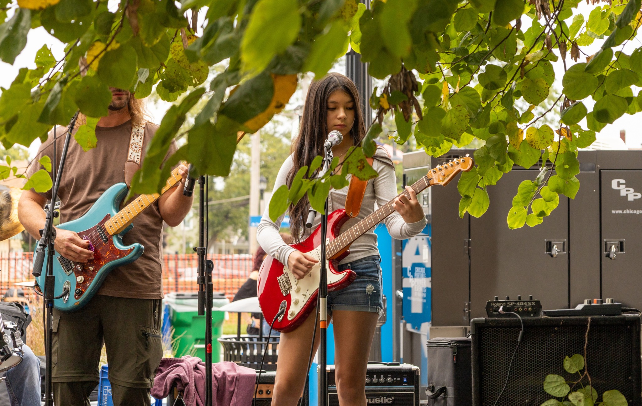 Berwyn School of Music