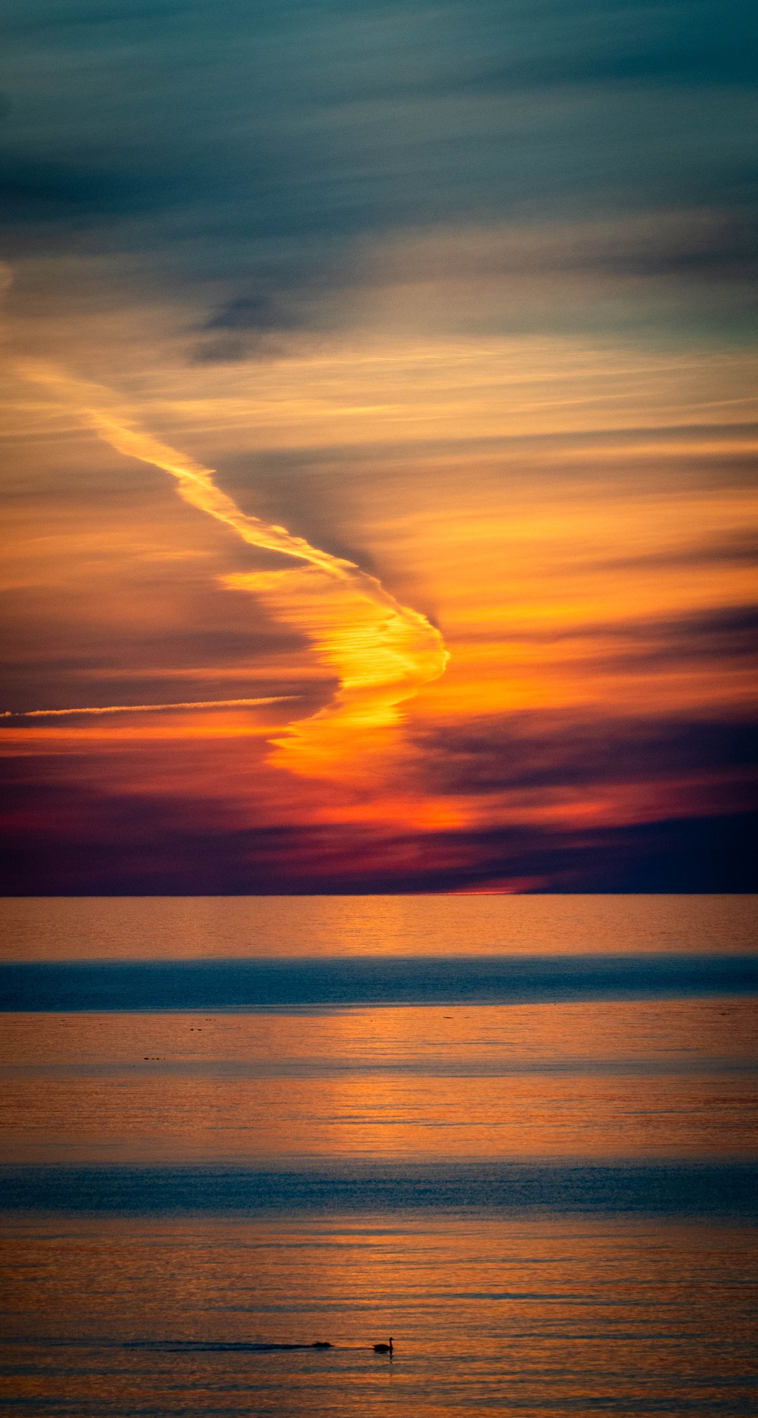 Patti Raine Photography Art Gallery
