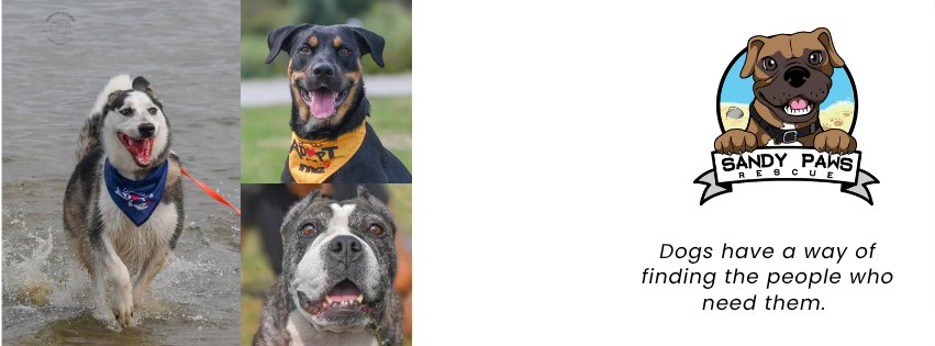 Sandy Paws Rescue Inc.